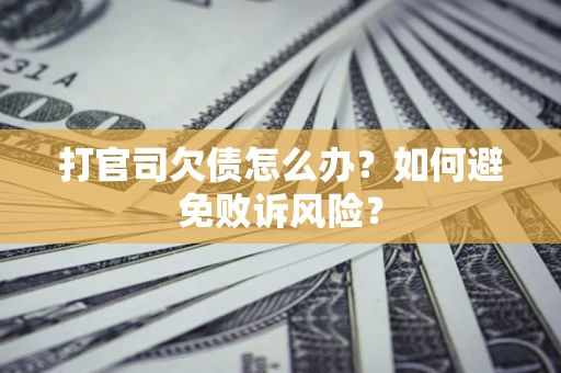 北京打官司欠债怎么办？如何避免败诉风险？