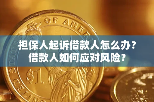 北京担保人起诉借款人怎么办？借款人如何应对风险？