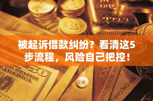 北京被起诉借款纠纷？看清这5步流程，风险自己把控！