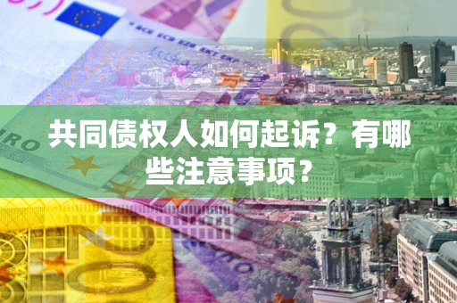 北京共同债权人如何起诉？有哪些注意事项？