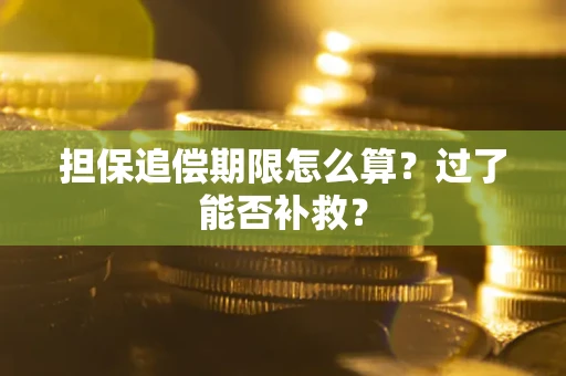 北京担保追偿期限怎么算？过了能否补救？